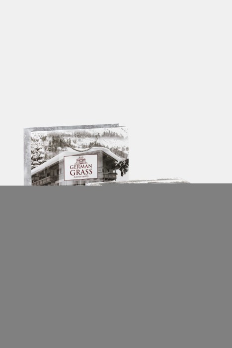 Постельное белье Sand Brilliant Grass Полуторный 70 х 70 см (2 шт) простынь 240х260