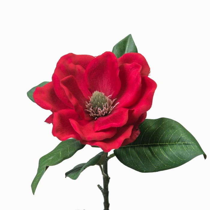 цветок Arya Магнолия Красный