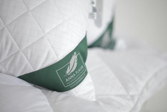 Подушка Anna Flaum Energie 50x70