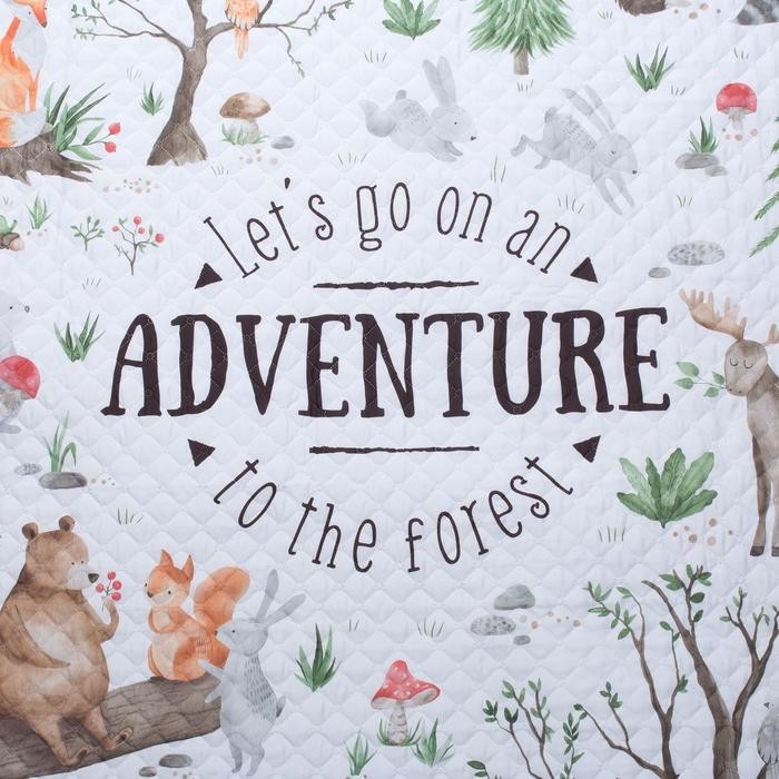 Покрывало "Этель" 2 сп Adventure, 180*220 см, микрофибра