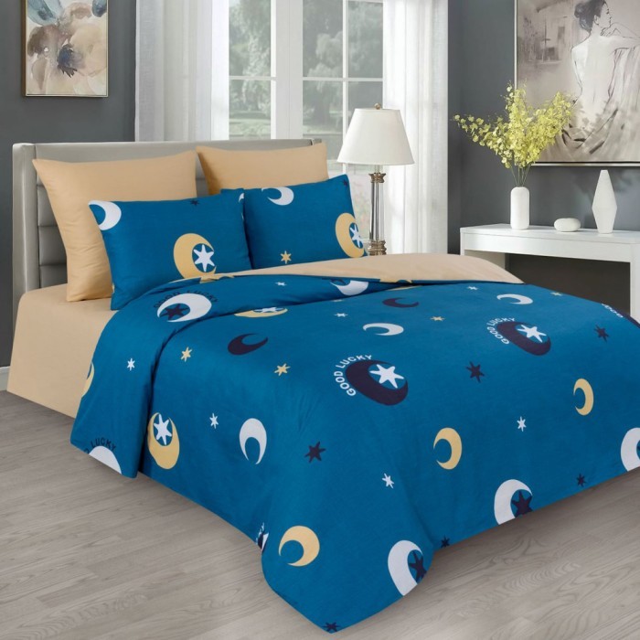 Постельное белье Valtery печатный CS-13 евро