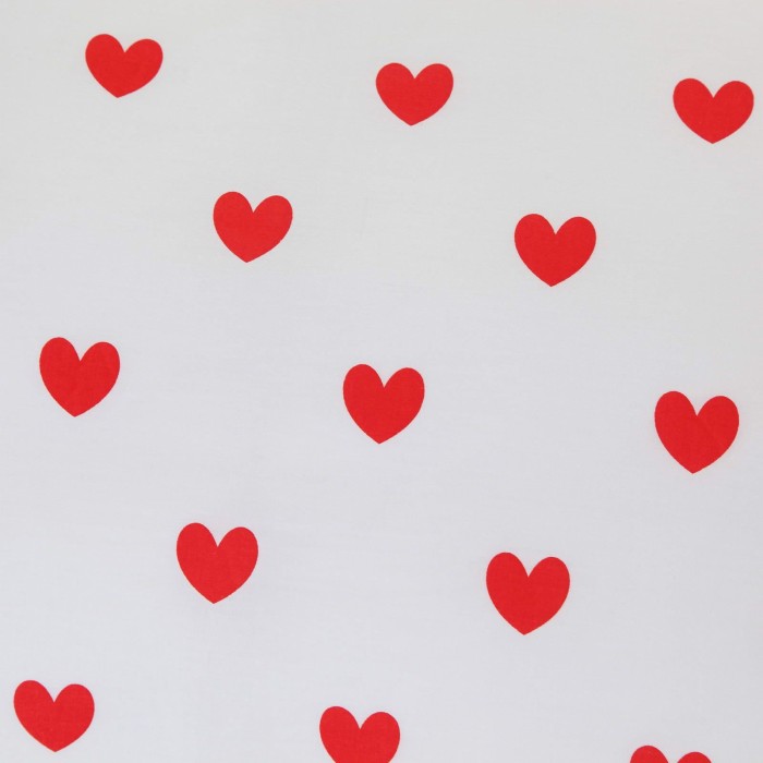 Лаки Комплект постельного белья сатин Евро 4н