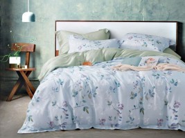 Постельное белье Asabella 1750-6 евро тенсел