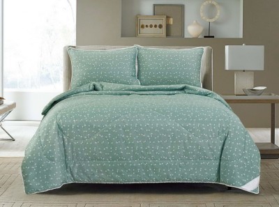 Дарси №67 Комплект 1.6