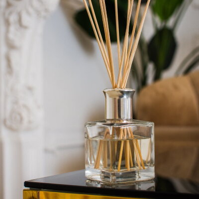 Диффузор Arya Reed 120 ml Wood Sage  