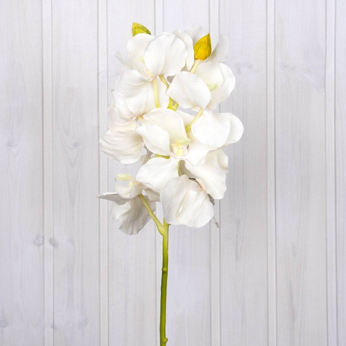 Искусственный Цветок Arya 66 Cm Vanda Белый
