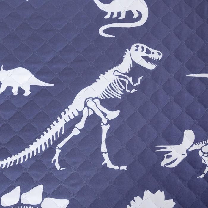 Набор "Этель" 1,5 сп Dinotime, покрывало 145х210 см, наволочка 40х60 см,  микрофибра